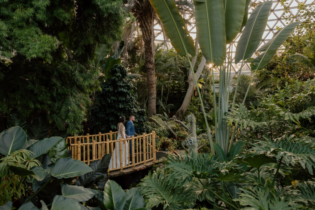 Bride and Groom walking across a bridge in the Bloedel Conservatory in Vancouver